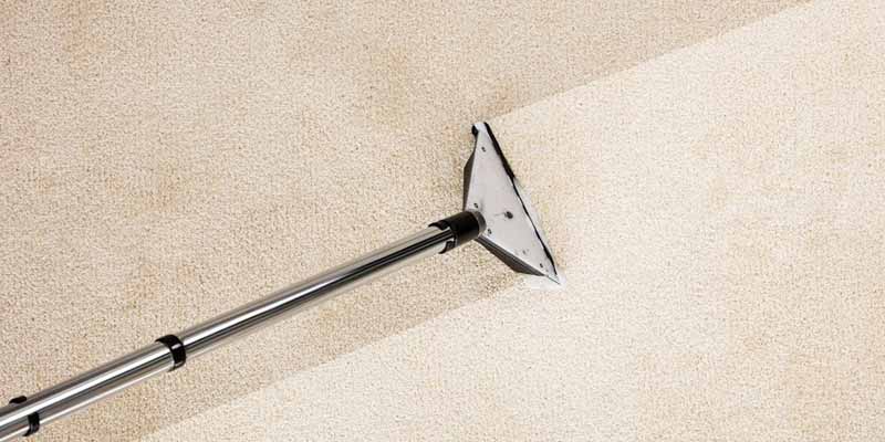 Dirty Carpet Facts
