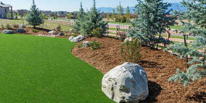 Sustainable Landscaping Practices for Your Home
