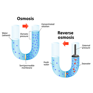 Reverse Osmosis System