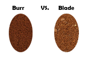 Burr Vs Blade Grind Coffee
