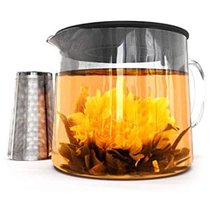 Glass Teapot with Tea Infuser- Kiss Me Organics