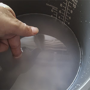How Much Water Should You Use in a Rice Cooker