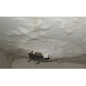 leaks in roof cause mold