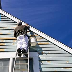 Painting and Touching up The Roof of Storage Sheds