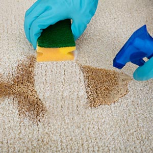 Remove Stains From Wool Rugs