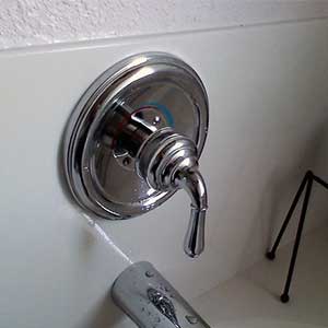 Shower Faucet Licking Clip